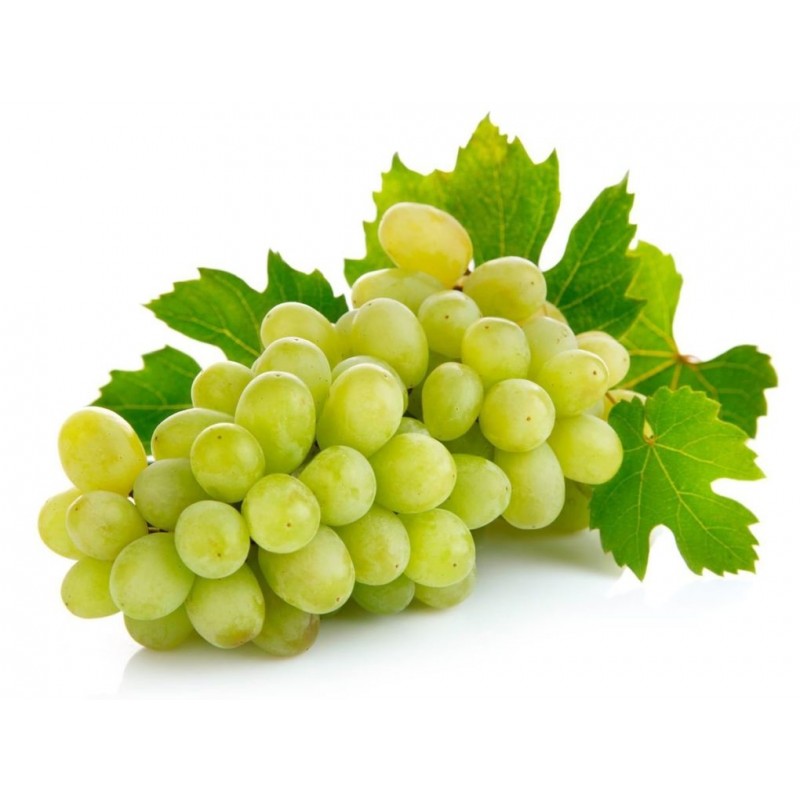 Organic Grape-White-1Pack