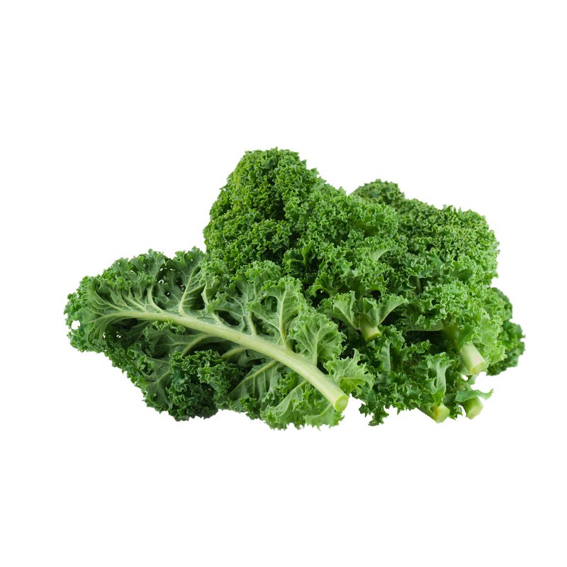 Organic Kale-Curly-GCC-1 Kg