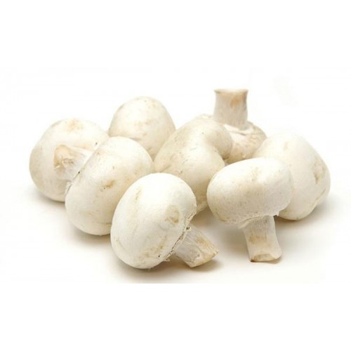 Organic Mushroom White-1 Kg