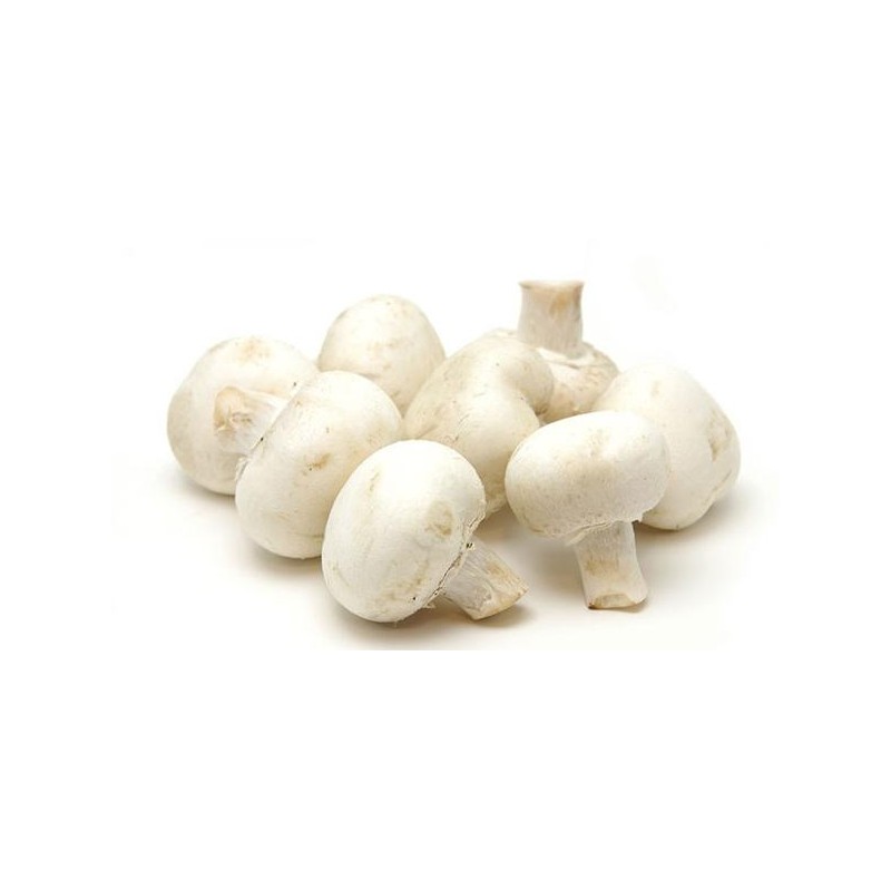 Organic Mushroom White-1 Kg