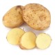 Organic Potato-GCC-1 Kg