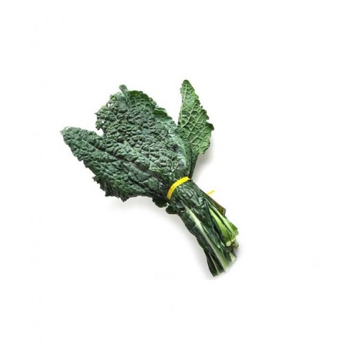 Organic Italian Kale-GCC-1 Kg